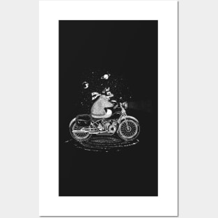 A fox rides a motorcycle Posters and Art